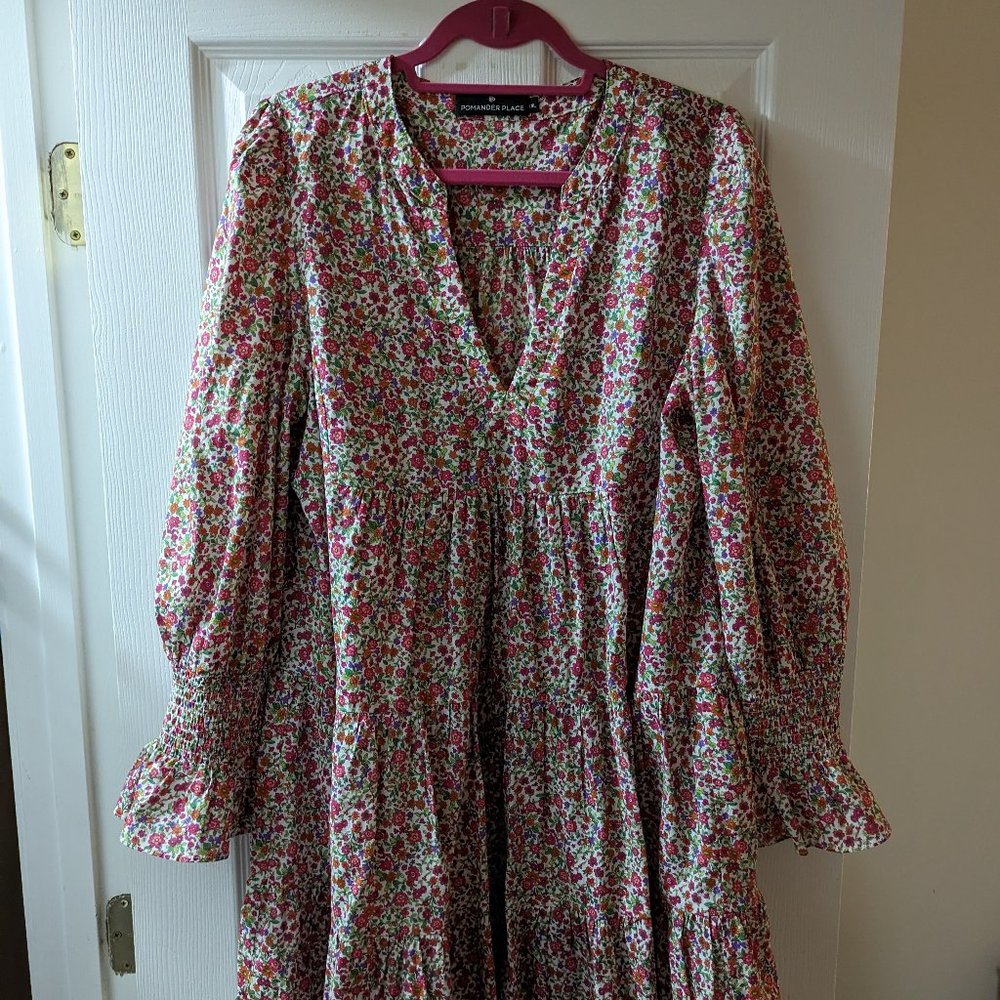 Tuckernuck/ Pomander Place Kenzie Dress Ditsy Floral XXL
